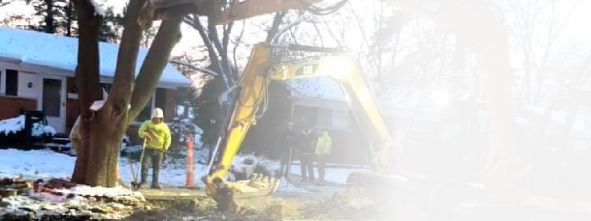 workers cleaning and removing some branches of a lot